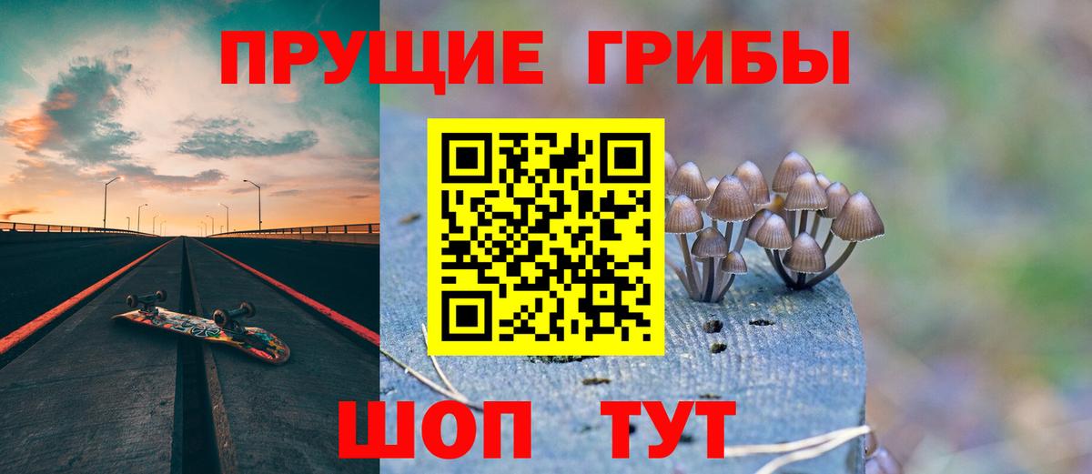 Псилоцибиновые грибы Psilocybine cubensis Знаменск